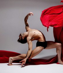 Homoart 5a2674d3331ac.jpg