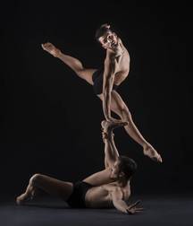 Homoart 5a2674da53912.jpg