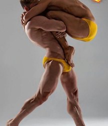 Homoart 5a2674ebbae2e.jpg