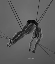 Homoart 5a2674f75740a.jpg