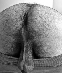 first in the morning 5a27c6cd51a92.jpg