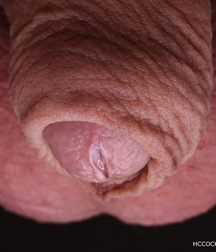 jerk before sleep 5a2855f435799.jpg