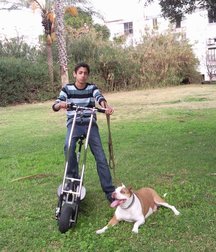 mes amis 5a2bb7bc905af.jpg