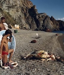 bears and not 5a328e048cf14.jpg