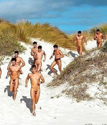 bears and not 5a328e5a5fcdc.jpg