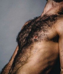 bears and not 5a328e6adfe6d.jpg