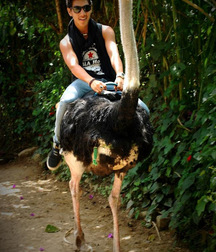 hard boys 5a33b3f08a11f.jpg