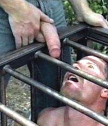 brutal 5a38e8ee766a8.jpg