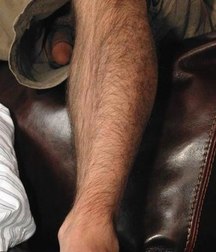 for all jerking boy 5a3be1ed445f5.jpg
