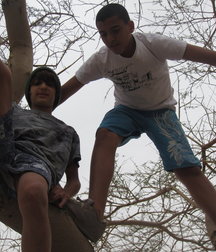 entre potes 5a3e86afdb12e.jpg