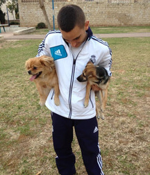 frends Straight  5a44fa0f9219b.jpg