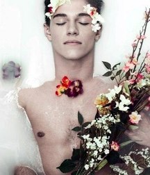 fantastic boys 5a4cadb9450e7.jpg