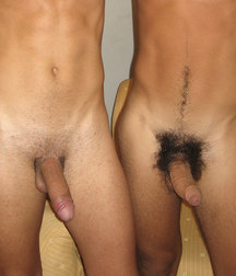 wank before dinner 5a4d1195aec1d.jpg