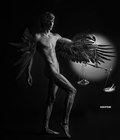 artsex boys 5a53b8b56e621.jpg