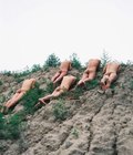 military sex 5a53bac30fee9.jpg