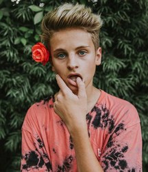 young flowers 5a53c6ac2b363.jpg