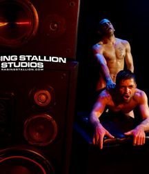 stallions 5a561f962a954.jpg