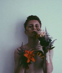 les fleures du mal 5a5769f8a969f.jpg