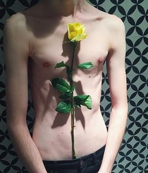 les fleures du mal 5a576a24c1e70.jpg