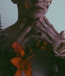 les fleures du mal 5a576a439b462.jpg