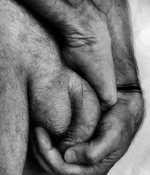 cocks 5a80b3a574eeb.jpg