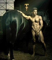 TT nice pics 5a856117f0d75.jpg