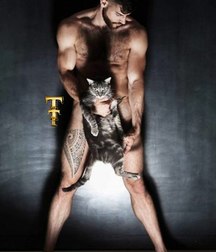 TT nice pics 5a8561293251b.jpg