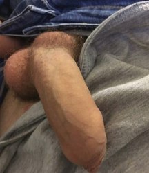 cocks inside 5a95c389eb453.jpg