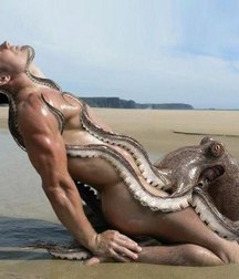 artistic sex and porn 5abfbdd13685d.jpg