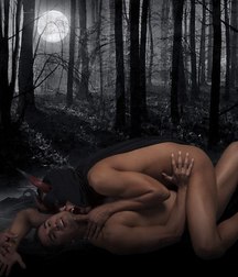 artistic sex and porn 5abfbe2a50d73.jpg