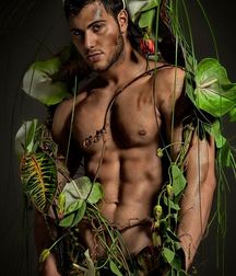 artistic sex and porn 5abfbe2e2c0f9.jpg