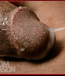 artistic sex and porn 5abfbe336ad47.jpg
