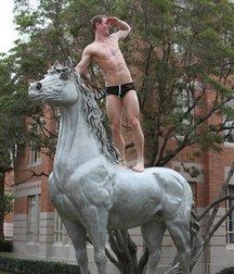 muscular beauty 5ad231950c5c8.jpg