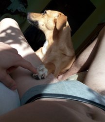 les hommes sont beaux 5ad25a9cca6ae.jpg
