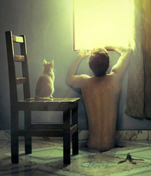 une belle soiree 5ad8e77e2624f.jpg