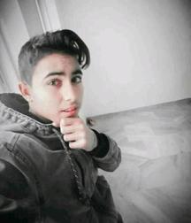 les amis de ma jeunesse 5adc83550c590.jpg