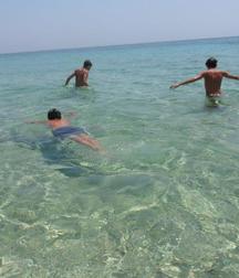 natation sexy 5ae61d7f9cae9.jpg