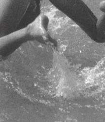 natation sexy 5ae61e76095e9.jpg