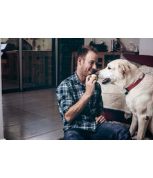 boys dogs & other animals 5ae96b2a49551.jpg