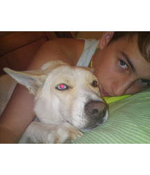 boys dogs & other animals 5ae96b2c9ed1b.jpg