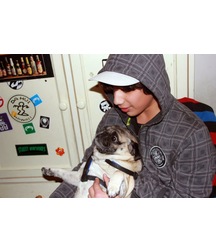 boys dogs & other animals 5ae96b3271be6.jpg