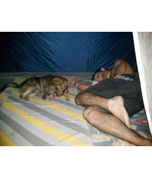 boys dogs & other animals 5ae96b33efada.jpg