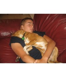 boys dogs & other animals 5ae96b377c139.jpg