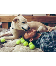 boys dogs & other animals 5ae96b3954eeb.jpg