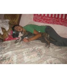boys dogs & other animals 5ae96b3a9270d.jpg
