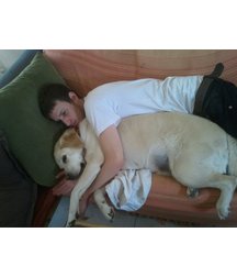 boys dogs & other animals 5ae96b4ac1a26.jpg