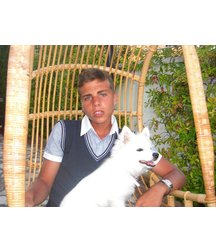 boys dogs & other animals 5ae96b4ca5d06.jpg