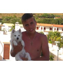 boys dogs & other animals 5ae96b4e0cb0a.jpg