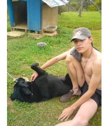 boys dogs & other animals 5ae96b5a2f3a3.jpg