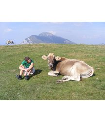 boys dogs & other animals 5ae96b65533b5.jpg